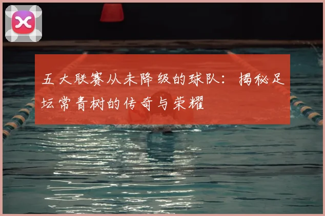 五大联赛从未降级的球队：揭秘足坛常青树的传奇与荣耀
