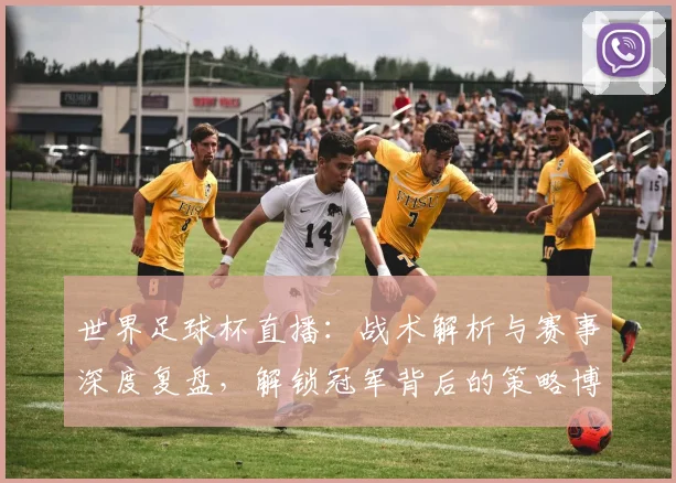 世界足球杯直播：战术解析与赛事深度复盘，解锁冠军背后的策略博弈
