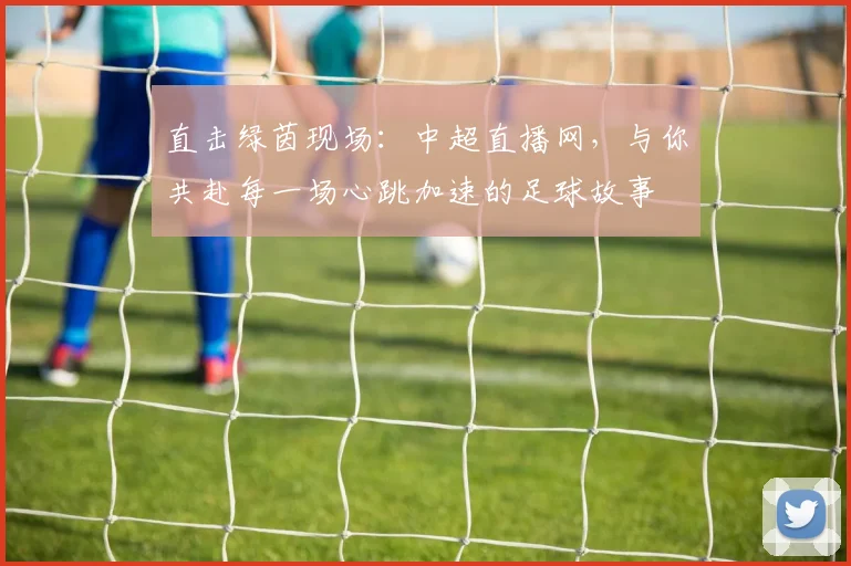 直击绿茵现场：中超直播网，与你共赴每一场心跳加速的足球故事